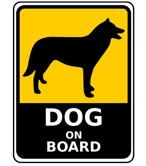 Dogonboard2