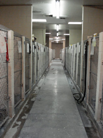 Insidekennel